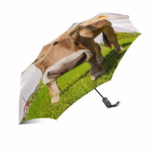 Tiếp thị di động chống gió tùy chỉnh in 2 phần sợi thủy tinh sườn tự động mở và đóng 3 ô
